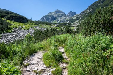 Amazing Summer landscape of Rila Mountain near Malyovitsa peak, Bulgaria