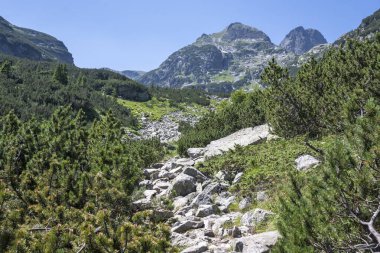 Amazing Summer landscape of Rila Mountain near Malyovitsa peak, Bulgaria