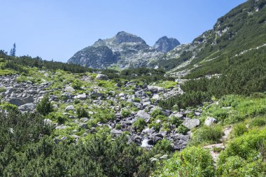Amazing Summer landscape of Rila Mountain near Malyovitsa peak, Bulgaria