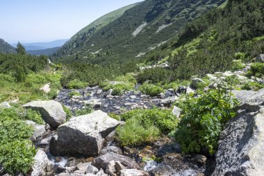 Amazing Summer landscape of Rila Mountain near Malyovitsa peak, Bulgaria
