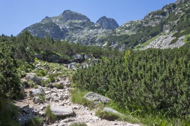 Amazing Summer landscape of Rila Mountain near Malyovitsa peak, Bulgaria