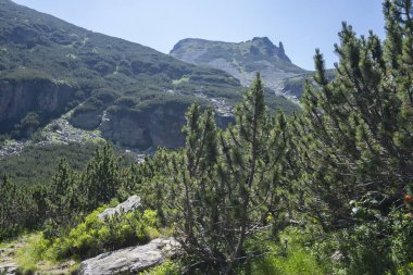 Amazing Summer landscape of Rila Mountain near Malyovitsa peak, Bulgaria