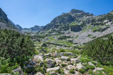 Amazing Summer landscape of Rila Mountain near Malyovitsa peak, Bulgaria