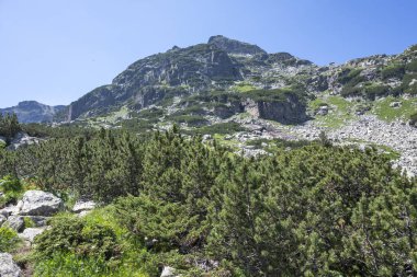 Amazing Summer landscape of Rila Mountain near Malyovitsa peak, Bulgaria