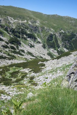 Amazing Summer landscape of Rila Mountain near Malyovitsa peak, Bulgaria