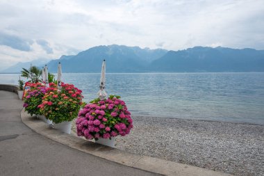 VEVEY, SWitzERLAND - 19 Haziran 2023: Vevey ve Cenevre Gölü, Vaud Kantonu, İsviçre