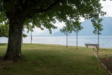 VEVEY, SWitzERLAND - 19 Haziran 2023: Vevey ve Cenevre Gölü, Vaud Kantonu, İsviçre