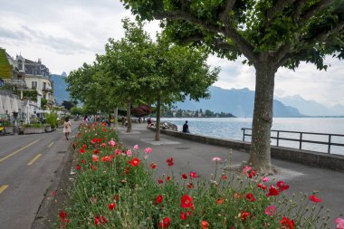 VEVEY, SWitzERLAND - 19 Haziran 2023: Vevey ve Cenevre Gölü, Vaud Kantonu, İsviçre
