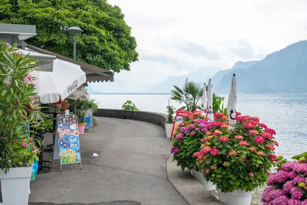 VEVEY, SWitzERLAND - 19 Haziran 2023: Vevey ve Cenevre Gölü, Vaud Kantonu, İsviçre