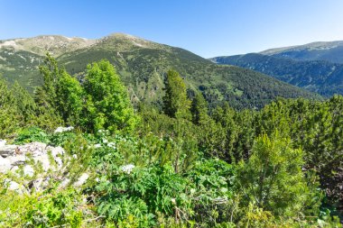 Bulgaristan 'ın Granchar Gölü yakınlarındaki Rila Dağı' nın İnanılmaz Yaz Manzarası