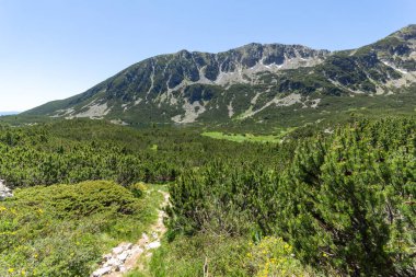 Bulgaristan 'ın Granchar Gölü yakınlarındaki Rila Dağı' nın İnanılmaz Yaz Manzarası