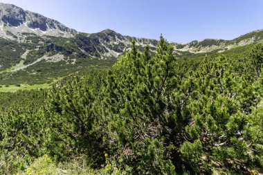 Bulgaristan 'ın Granchar Gölü yakınlarındaki Rila Dağı' nın İnanılmaz Yaz Manzarası