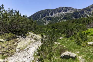 Bulgaristan 'ın Granchar Gölü yakınlarındaki Rila Dağı' nın İnanılmaz Yaz Manzarası