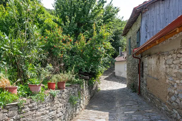 stock image Panorama of The historical Village of Ampelakia, Larissa, Thessaly, Greece