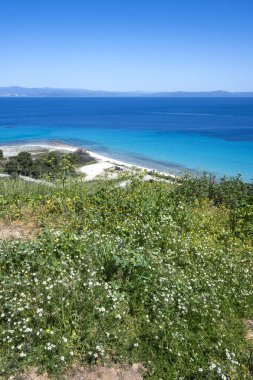 Afytos, Kassandra, Chalkidiki, Orta Makedonya ve Yunanistan 'ın Tarihi Kenti Panorama