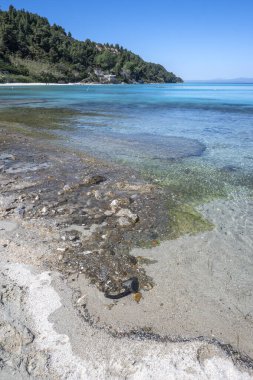 Afytos, Kassandra, Chalkidiki, Orta Makedonya ve Yunanistan 'ın Tarihi Kenti Panorama