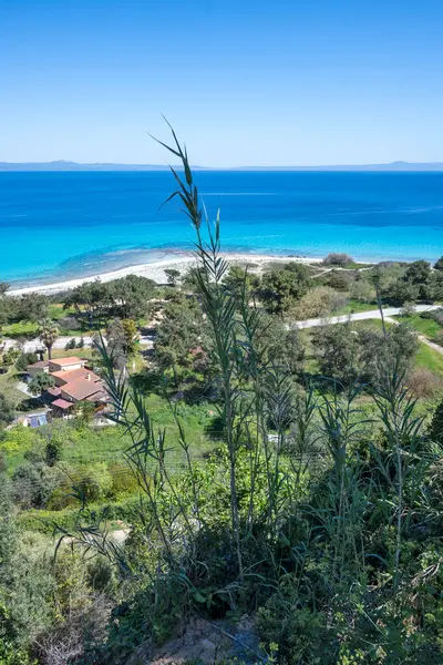 Afytos, Kassandra, Chalkidiki, Orta Makedonya ve Yunanistan 'ın Tarihi Kenti Panorama