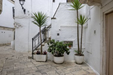 İtalya 'nın Apulia Bölgesi, Locorotondo şehrinin muhteşem manzarası.