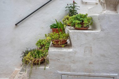 İtalya 'nın Apulia Bölgesi, Locorotondo şehrinin muhteşem manzarası.