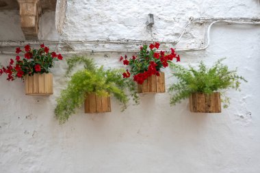 İtalya 'nın Apulia Bölgesi, Locorotondo şehrinin muhteşem manzarası.