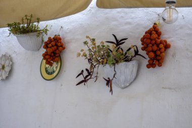 İtalya 'nın Apulia Bölgesi, Locorotondo şehrinin muhteşem manzarası.