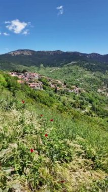 Meteora Manastırları, Teselya, Yunanistan 'ın Bahar Panoramik Manastırı