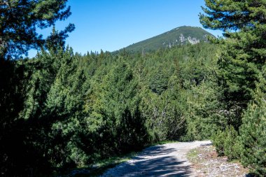 Bulgaristan 'ın Granchar Gölü yakınlarındaki Rila Dağı' nın İnanılmaz Yaz Manzarası