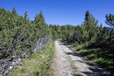 Bulgaristan 'ın Granchar Gölü yakınlarındaki Rila Dağı' nın İnanılmaz Yaz Manzarası