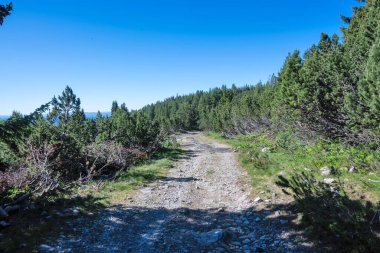 Bulgaristan 'ın Granchar Gölü yakınlarındaki Rila Dağı' nın İnanılmaz Yaz Manzarası