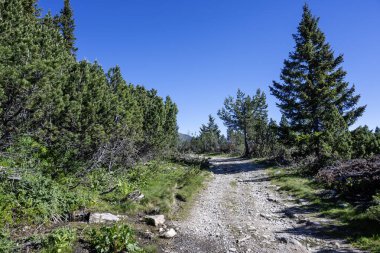 Bulgaristan 'ın Granchar Gölü yakınlarındaki Rila Dağı' nın İnanılmaz Yaz Manzarası