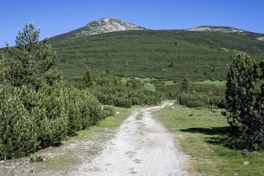Bulgaristan 'ın Granchar Gölü yakınlarındaki Rila Dağı' nın İnanılmaz Yaz Manzarası