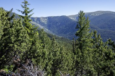 Bulgaristan 'ın Granchar Gölü yakınlarındaki Rila Dağı' nın İnanılmaz Yaz Manzarası