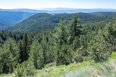 Bulgaristan 'ın Granchar Gölü yakınlarındaki Rila Dağı' nın İnanılmaz Yaz Manzarası