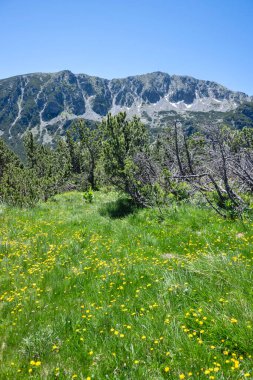Bulgaristan 'ın Granchar Gölü yakınlarındaki Rila Dağı' nın İnanılmaz Yaz Manzarası