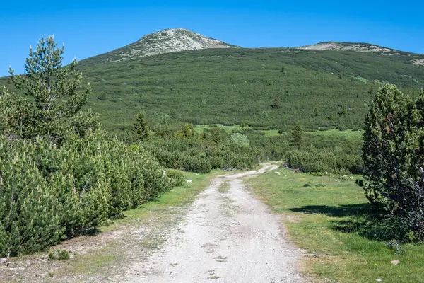 stock image Amazing Summer Landscape of Rila mountain near Granchar Lake, Bulgaria