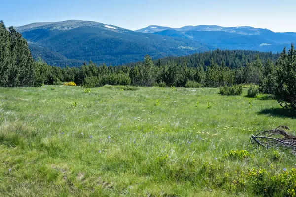 stock image Amazing Summer Landscape of Rila mountain near Granchar Lake, Bulgaria