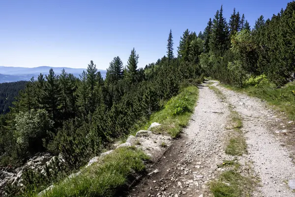 stock image Amazing Summer Landscape of Rila mountain near Granchar Lake, Bulgaria