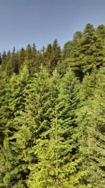 Bulgaristan 'ın Yedi Rila Gölü yakınlarındaki Rila Dağı' nın muhteşem manzarası