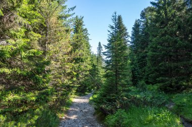 Amazing Summer landscape of Rila Mountain near Malyovitsa peak, Bulgaria