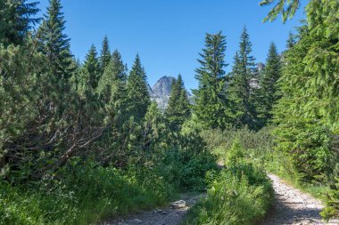 Amazing Summer landscape of Rila Mountain near Malyovitsa peak, Bulgaria