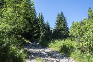 Amazing Summer landscape of Rila Mountain near Malyovitsa peak, Bulgaria