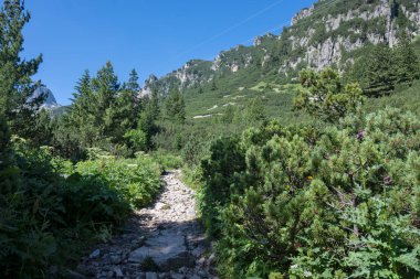 Amazing Summer landscape of Rila Mountain near Malyovitsa peak, Bulgaria clipart