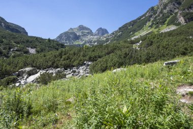 Amazing Summer landscape of Rila Mountain near Malyovitsa peak, Bulgaria
