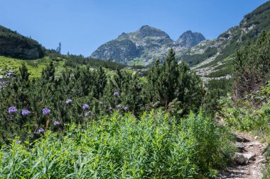Amazing Summer landscape of Rila Mountain near Malyovitsa peak, Bulgaria