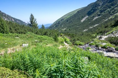 Amazing Summer landscape of Rila Mountain near Malyovitsa peak, Bulgaria