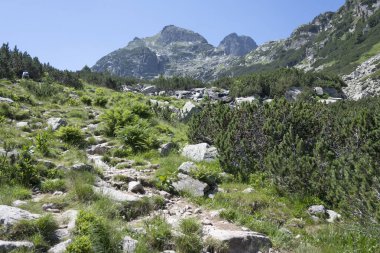 Amazing Summer landscape of Rila Mountain near Malyovitsa peak, Bulgaria