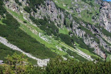 Amazing Summer landscape of Rila Mountain near Malyovitsa peak, Bulgaria