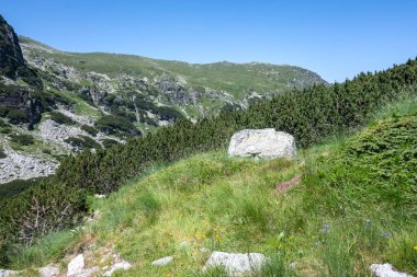 Amazing Summer landscape of Rila Mountain near Malyovitsa peak, Bulgaria