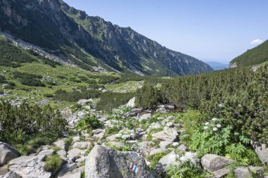 Amazing Summer landscape of Rila Mountain near Malyovitsa peak, Bulgaria