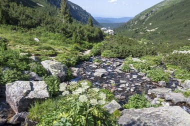 Amazing Summer landscape of Rila Mountain near Malyovitsa peak, Bulgaria clipart